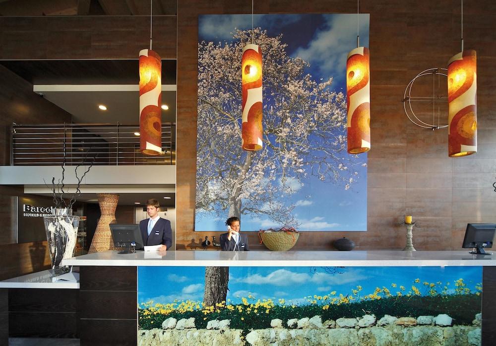 Hotel Occidental Cala Vinas 4*